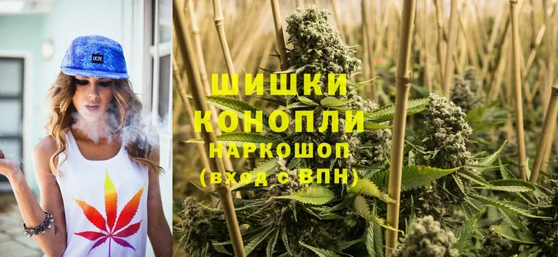 сайты даркнета наркотические препараты  omg рабочий сайт  Шишки марихуана SATIVA & INDICA  Оса  как найти закладки 